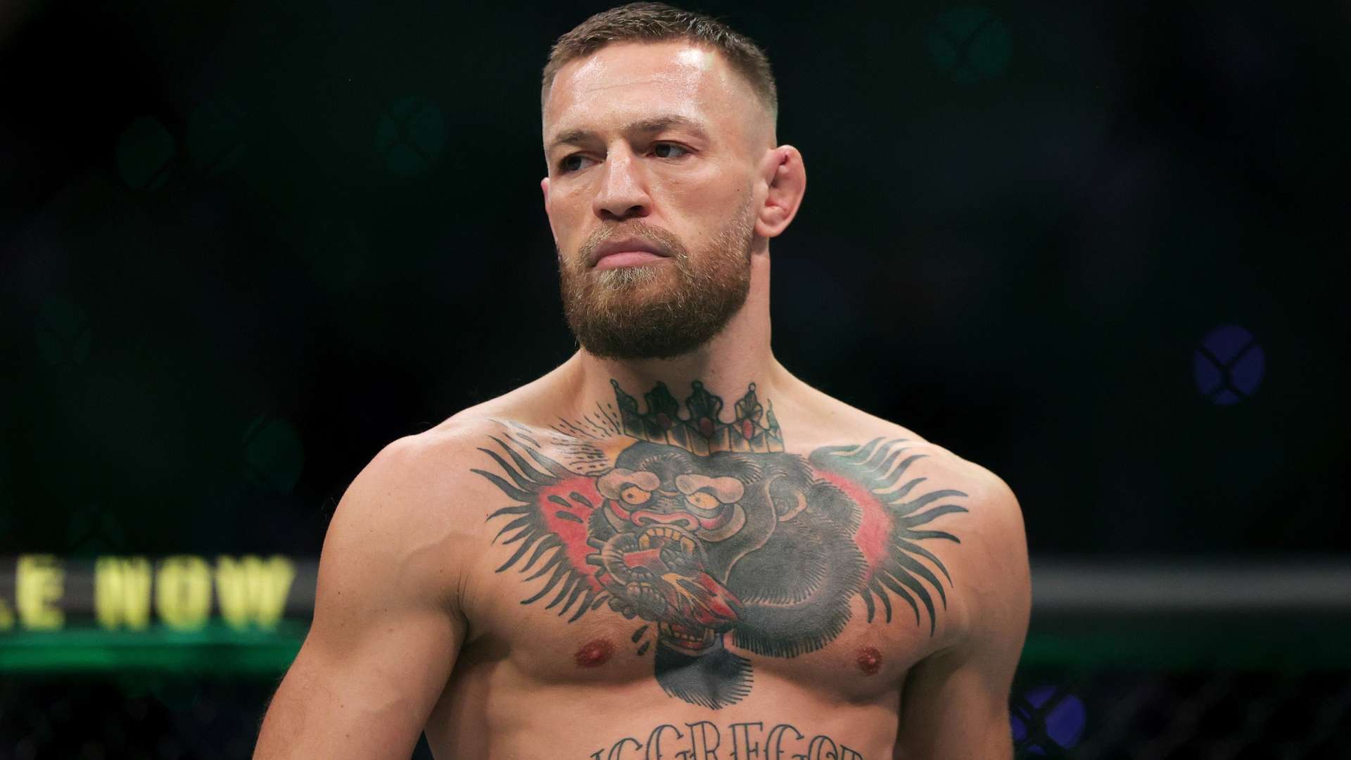 这种压力不 这种压力不