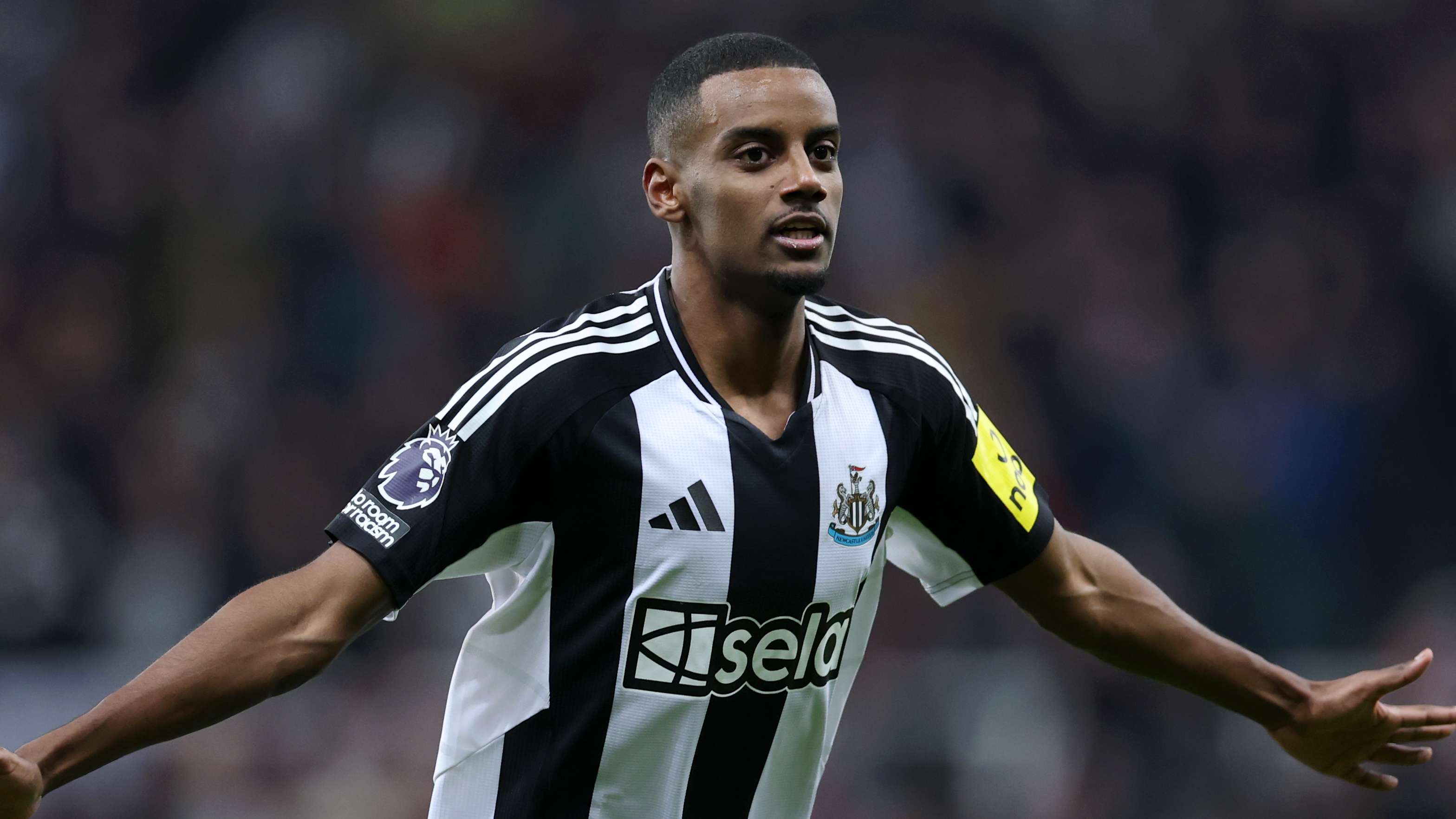 段的中锋引 段的中锋引